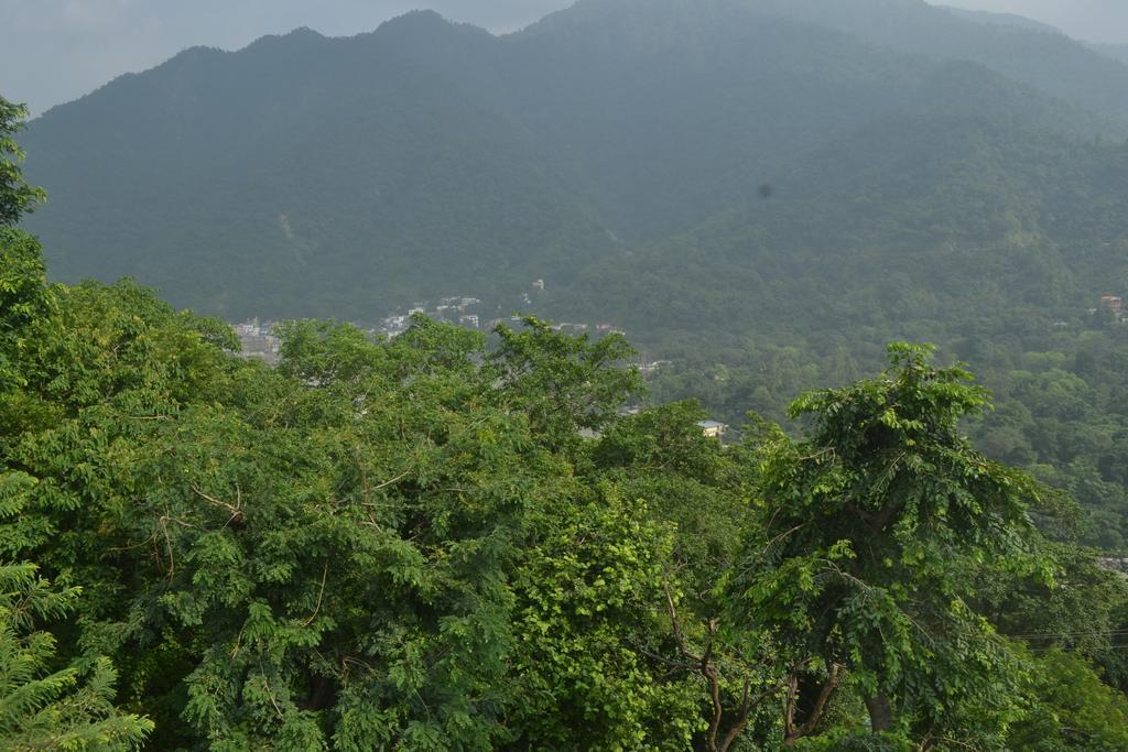 Mount Valley Mama Cottage Rishīkesh Kamer foto